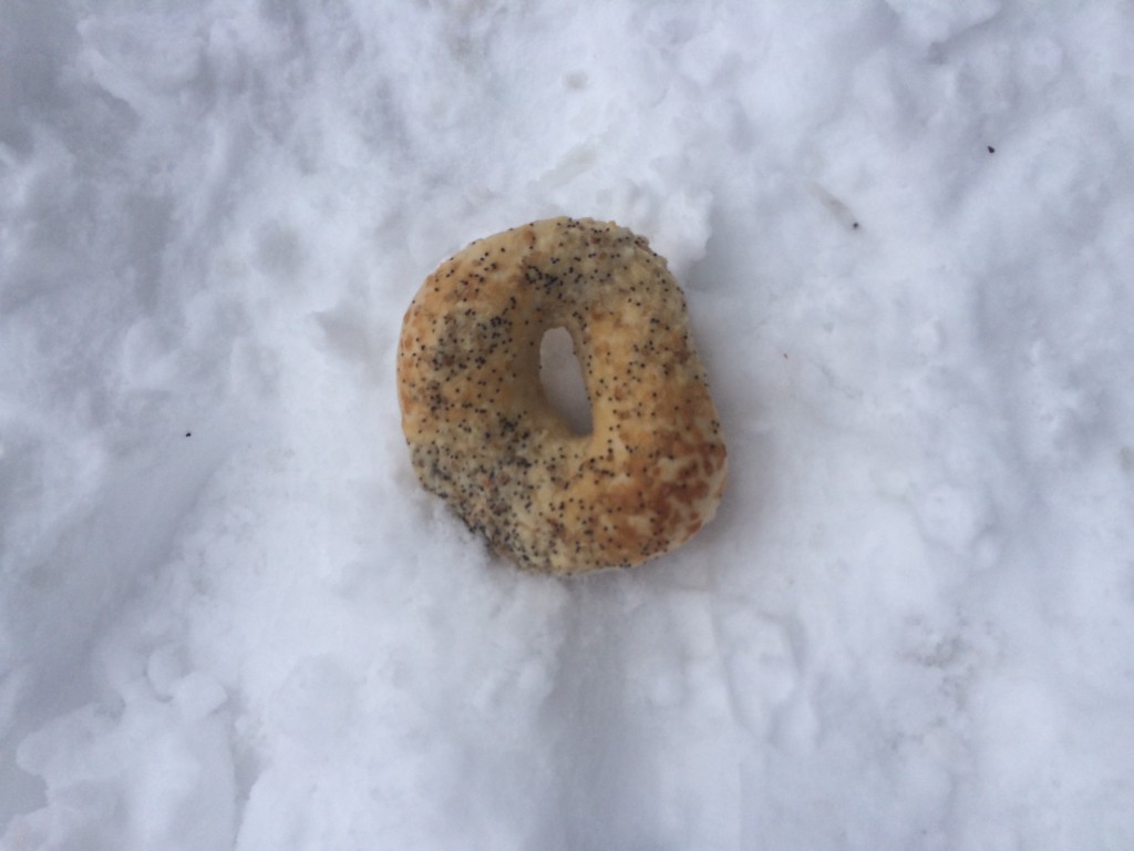 謎のベーグル。なぜ道端に食べかけでもなんでもないベーグルが落ちているのか。